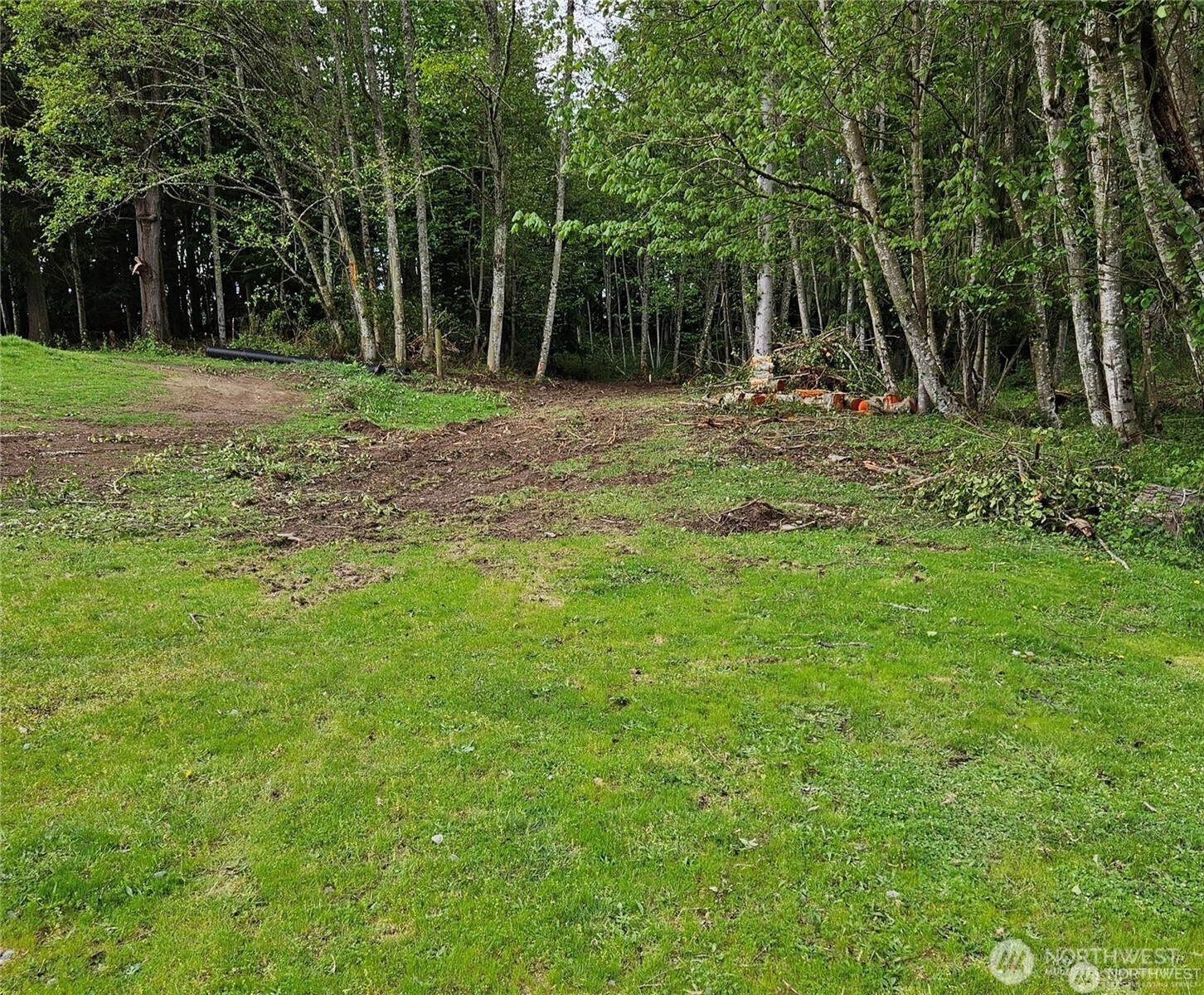 267th Ave Ct E Carbonado WA 98323