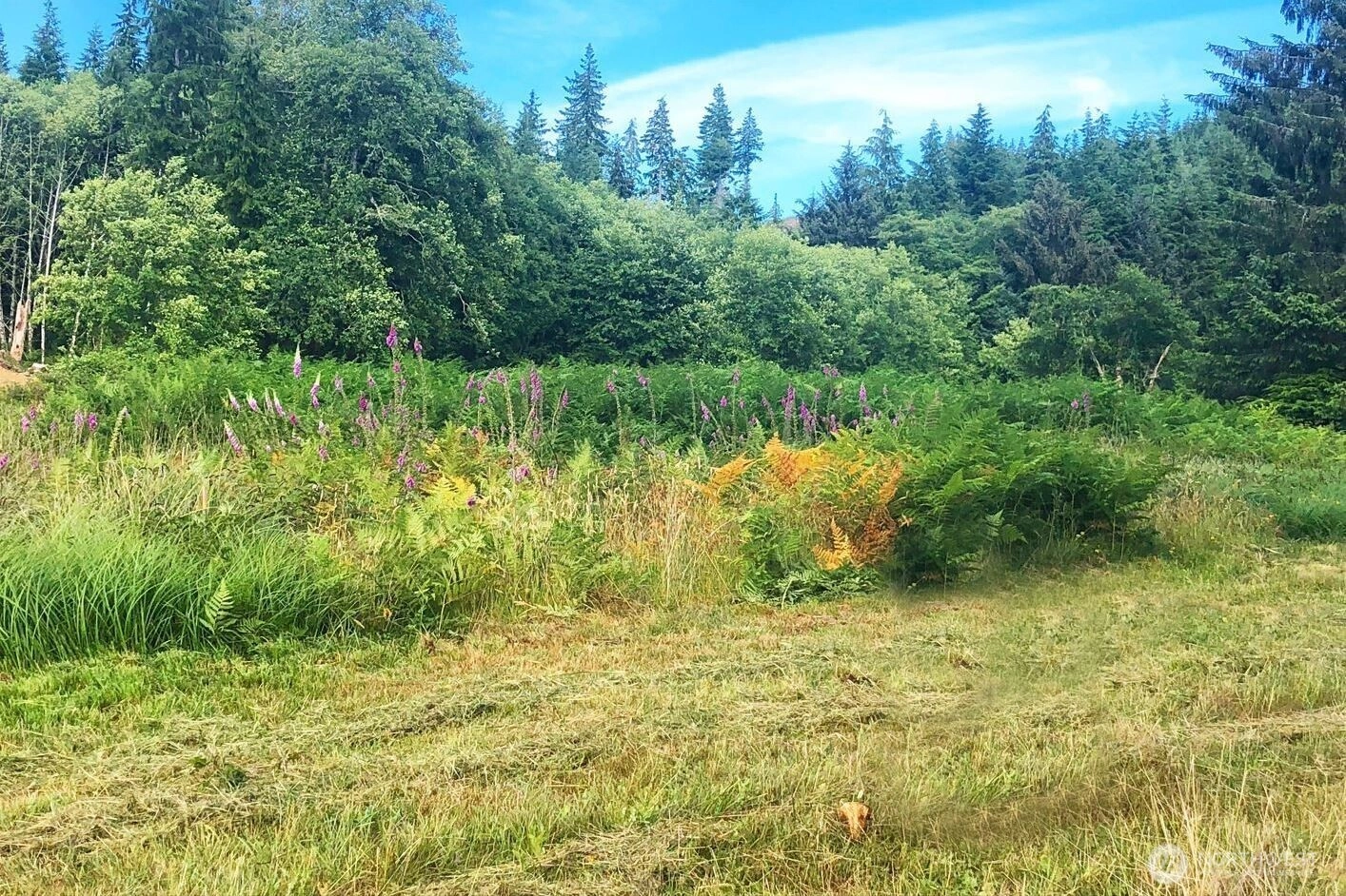South Valley Ln Unit 5 Unit 5 Naselle WA 98638