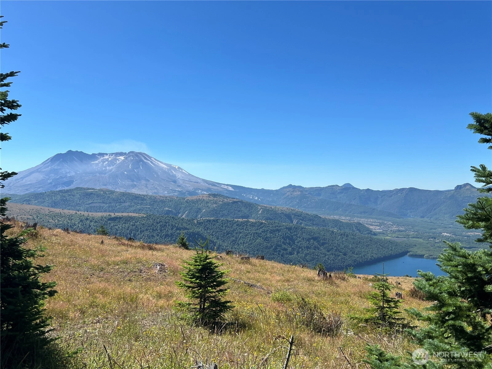 Spirit Lake Hwy Skamania WA 98648
