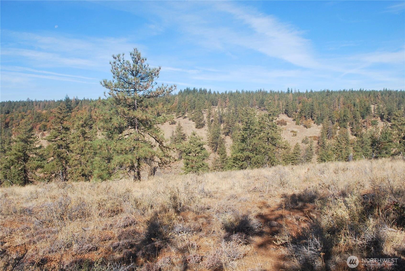 Hidden Meadows Unit  Goldendale WA 98620