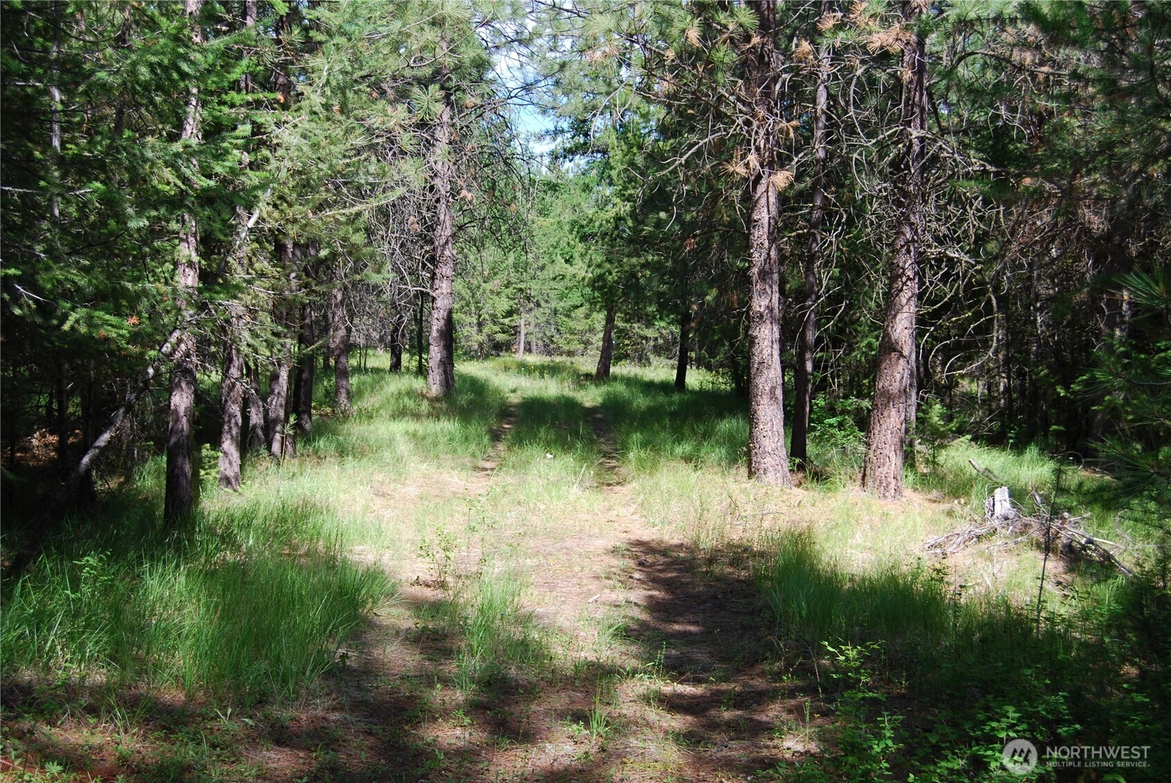 30 23 Wild Turkey Unit  Riverside WA 98849