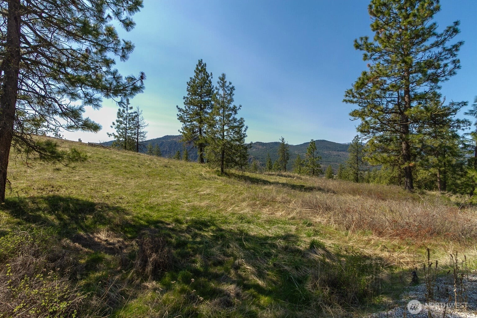 1622 Palmer Loop Chewelah WA 99109