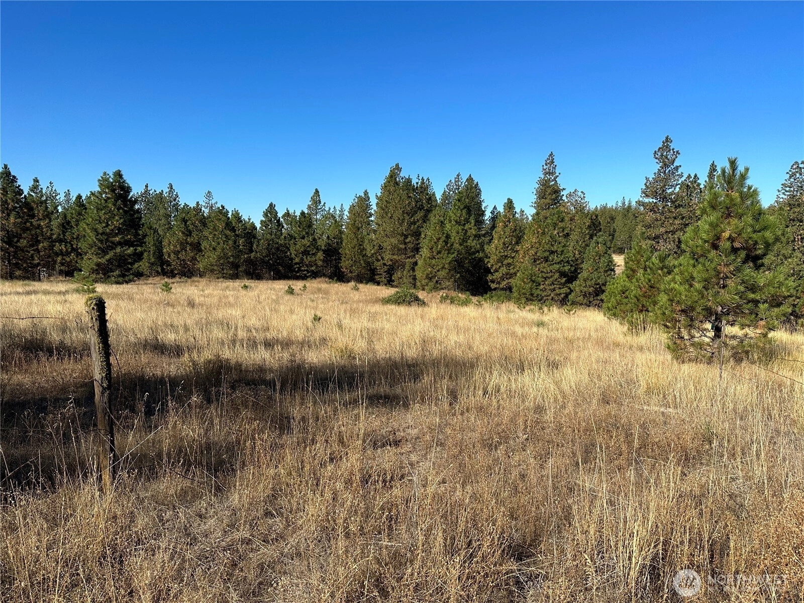 Three Mountains Meadows Goldendale WA 98620