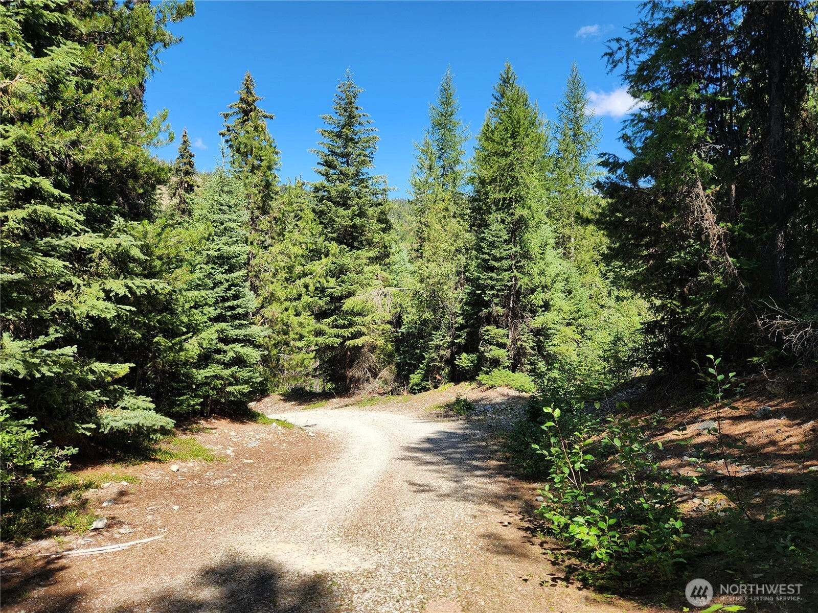0 XX East Fork Cougar Creek Rd Wauconda WA 98859