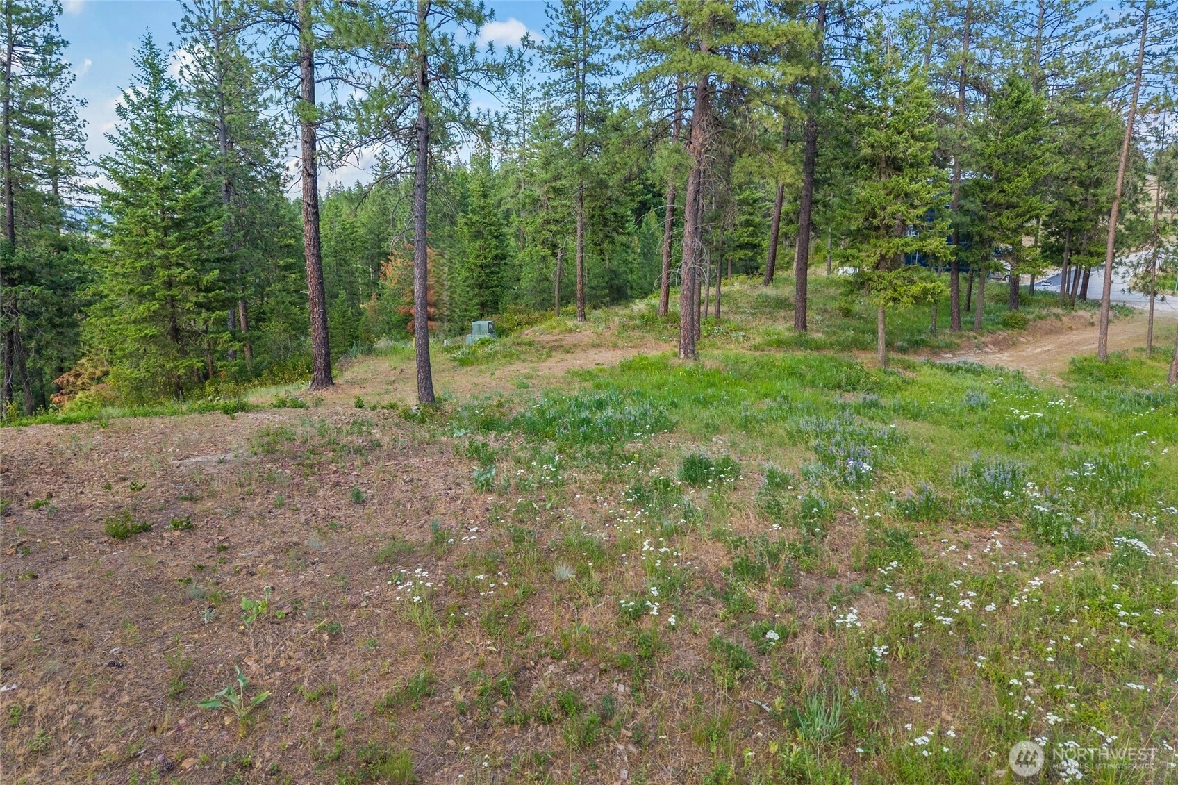 694 Palmer Ln Chewelah WA 99109