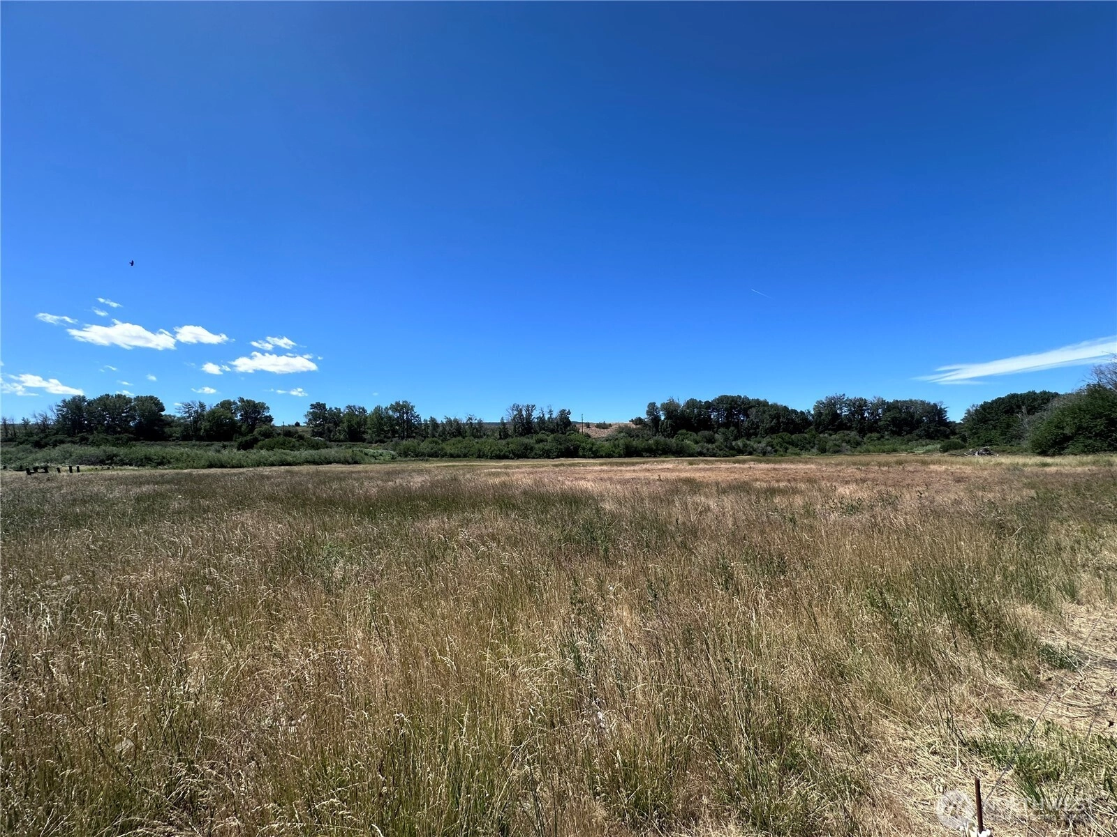 11485 XXX N Thorp Hwy Thorp WA 98946
