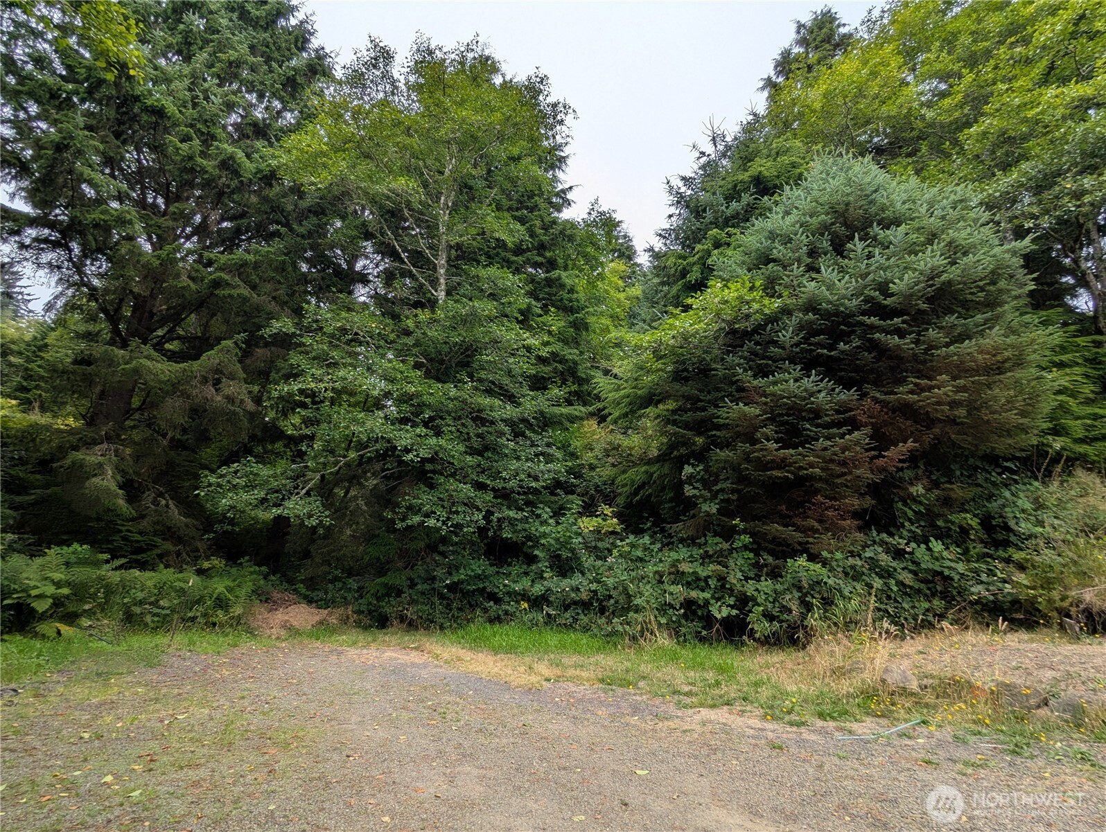 0 LOT 14 Lamontay Pl Unit  Ilwaco WA 98624
