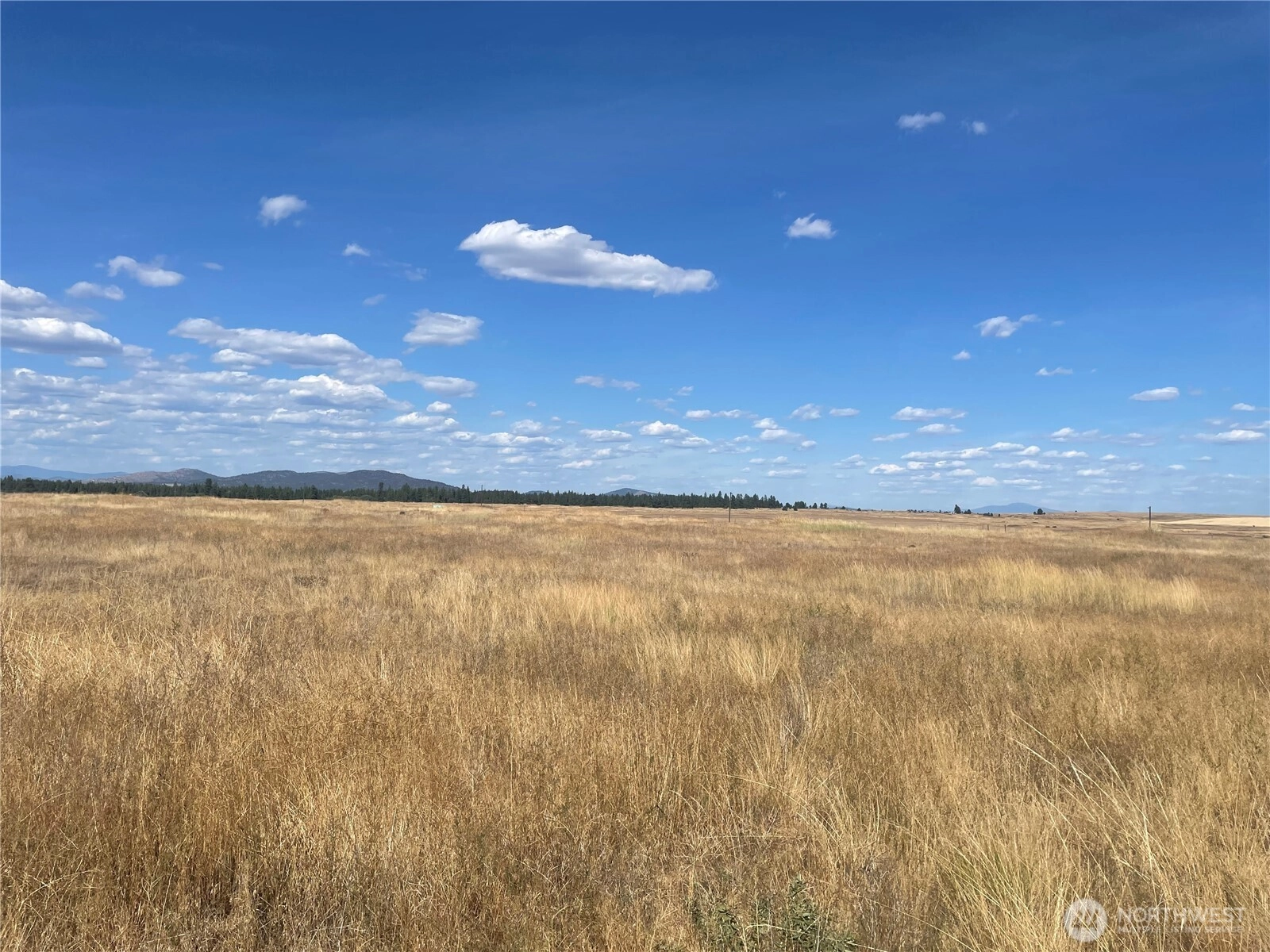 35251 Crescent Rd N Unit 4 Unit 4 Reardan WA 99029