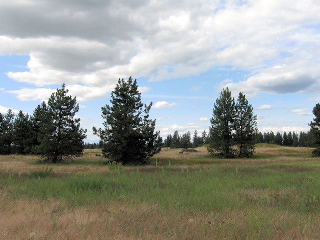 Tee Pee Rd Unit  Airway Heights WA 99001