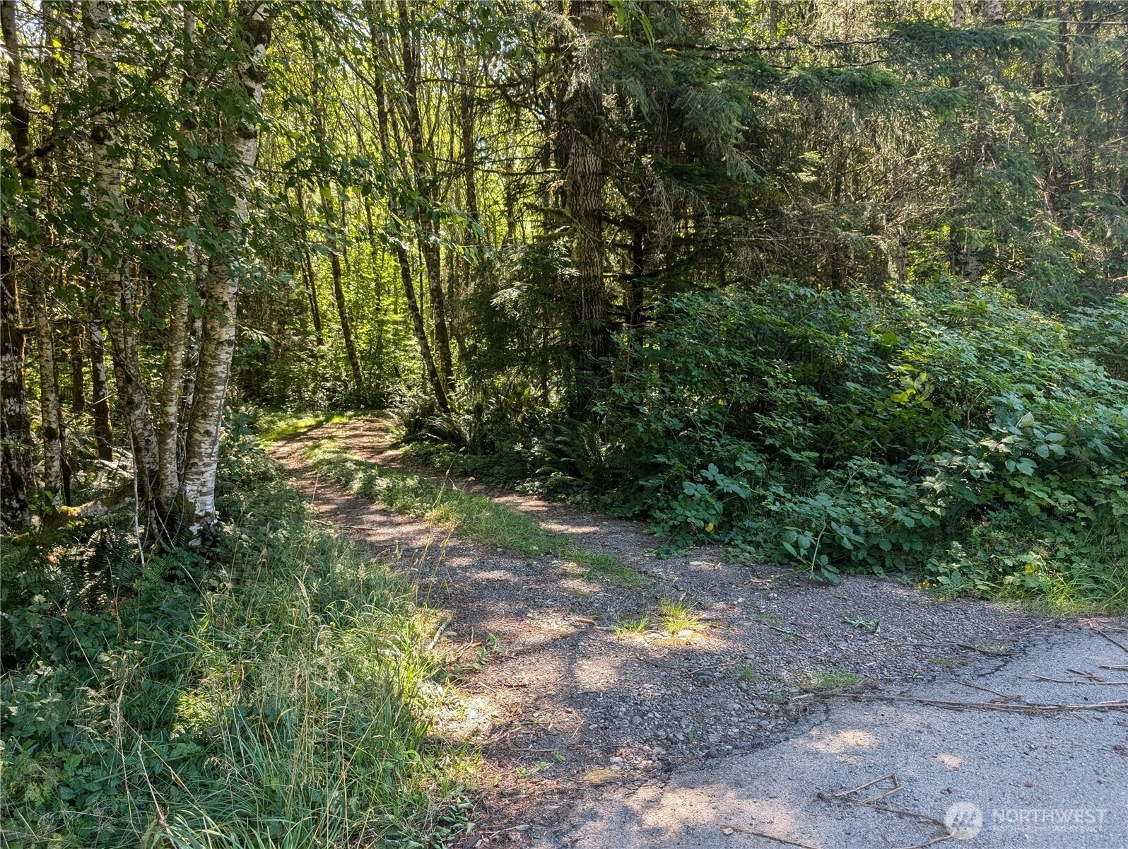 999 Hwy 101 Hwy Beaver WA 98363