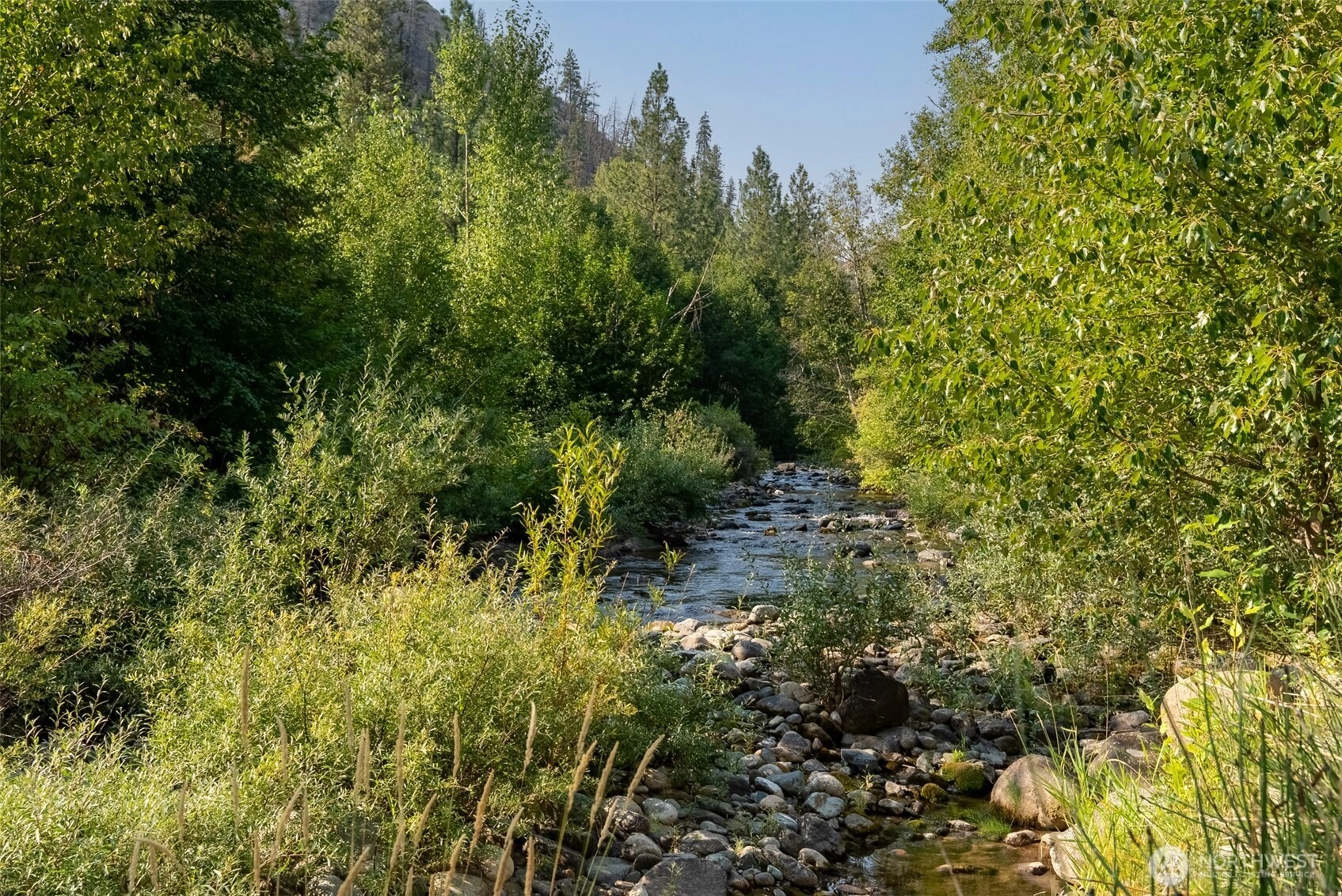 88 TBD Gold Creek Rd Carlton WA 98814