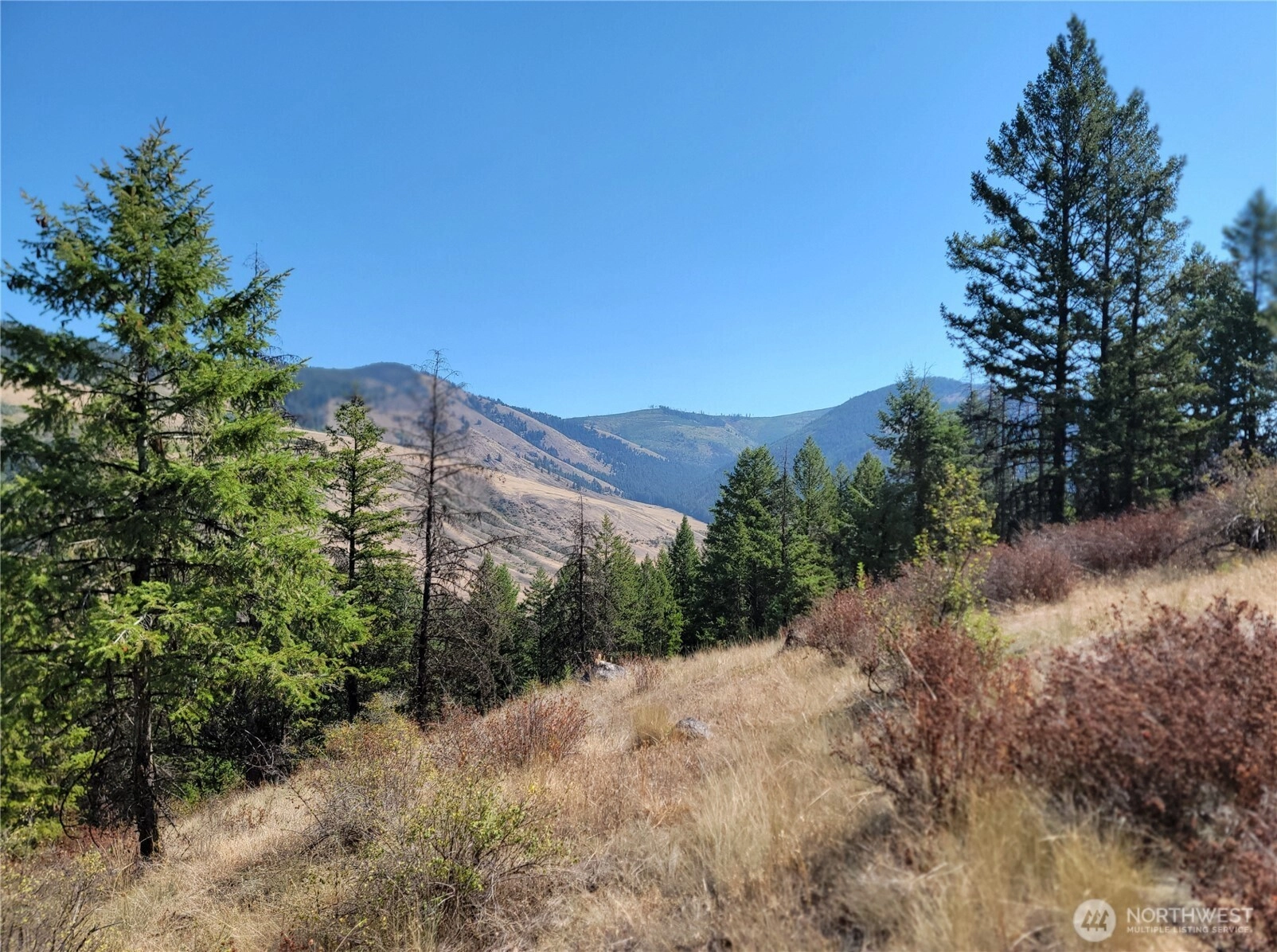 9999 Lone Ranch Rd Danville WA 99121