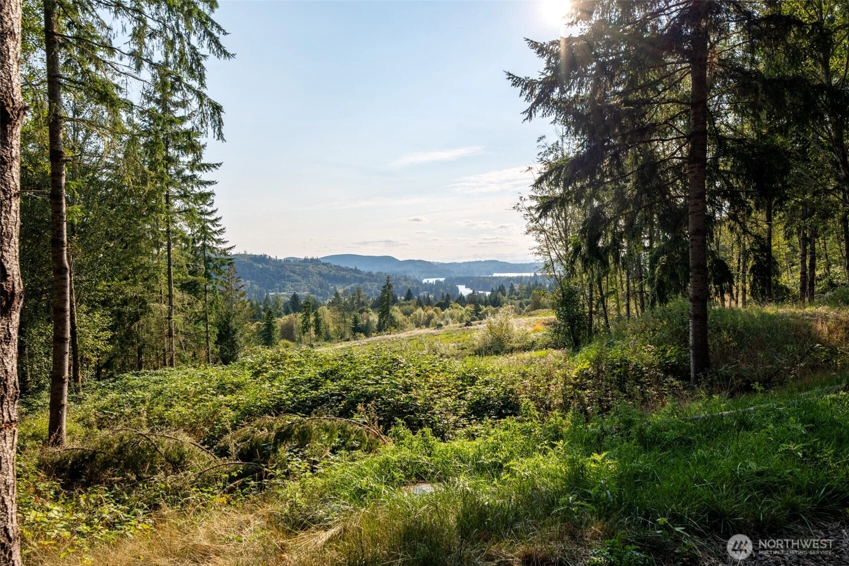 189 Kjesbu Rd Silver Creek WA 98585