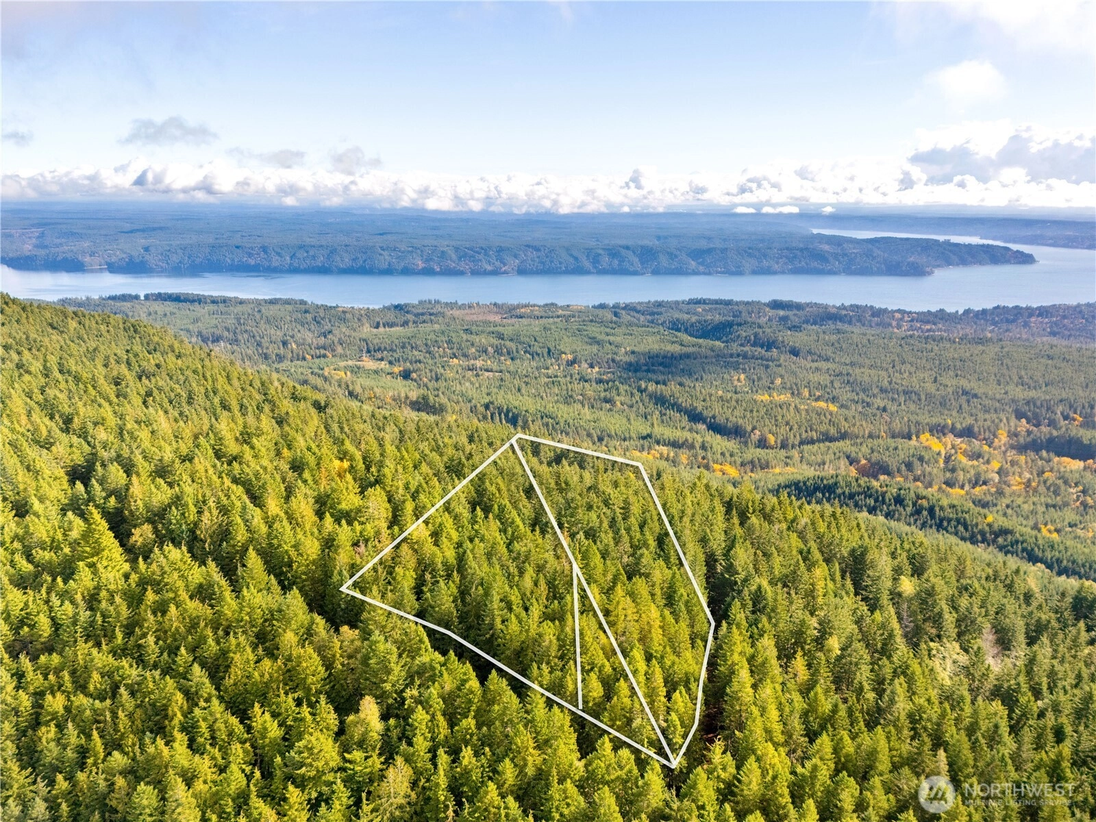 1350 N Hilltop Loop Rd Hoodsport WA 98548