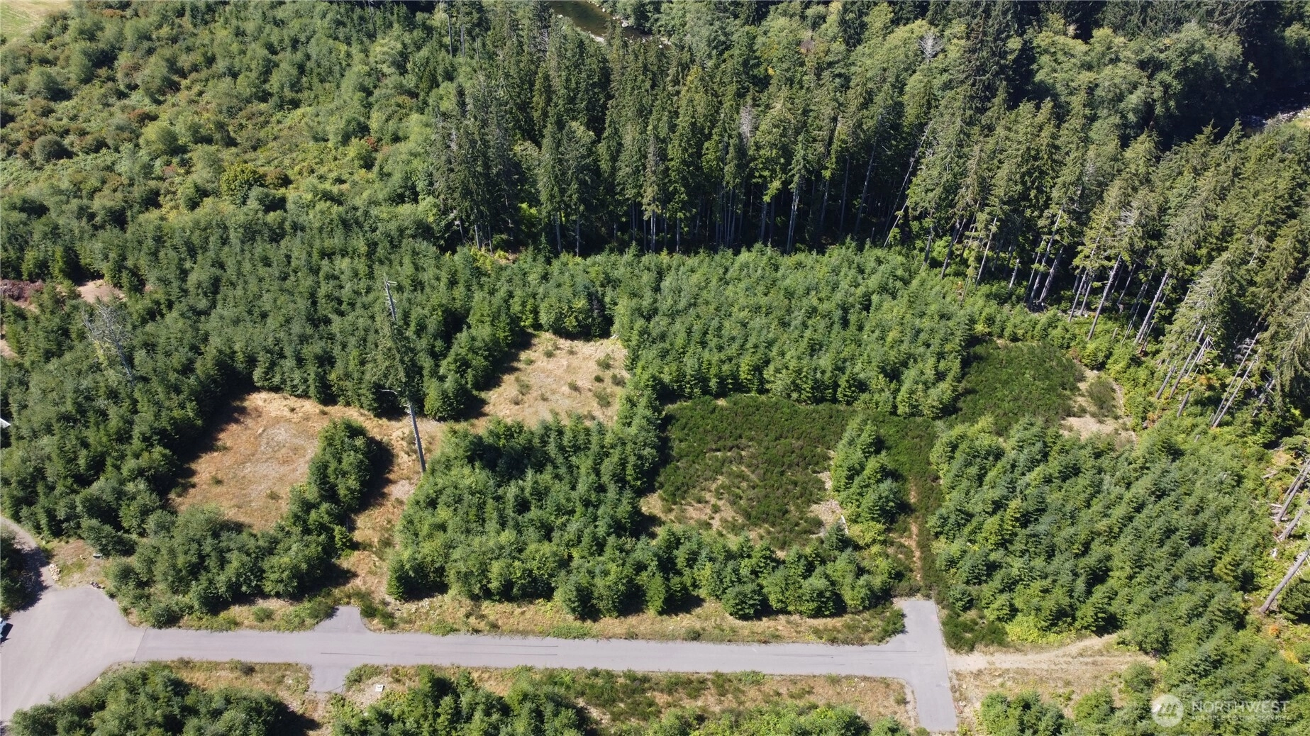 9999 King Johns-lot 2 Raven Sp Way Unit  Forks WA 98331