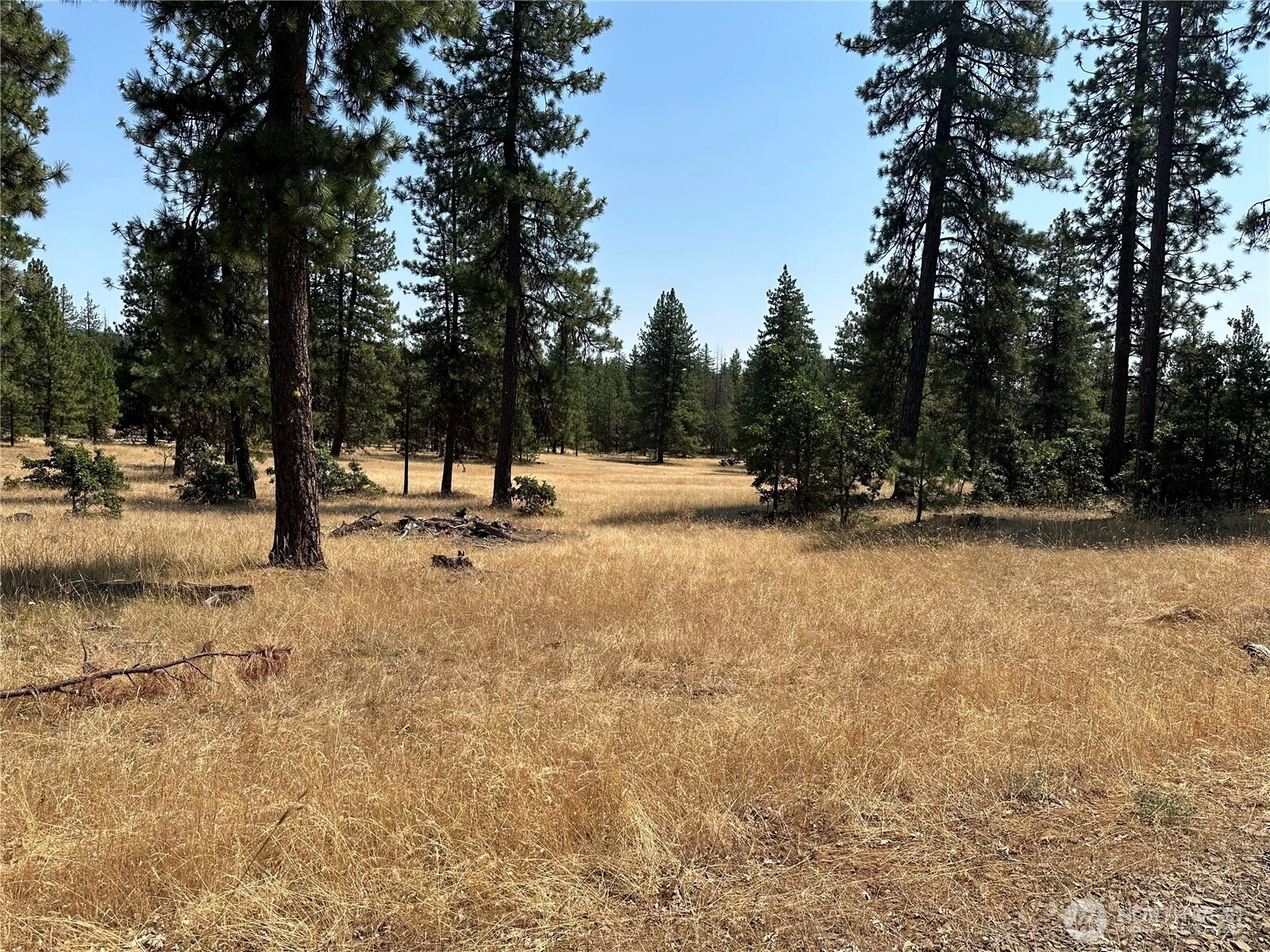 13 Greyback Mtn Rd Goldendale WA 98620