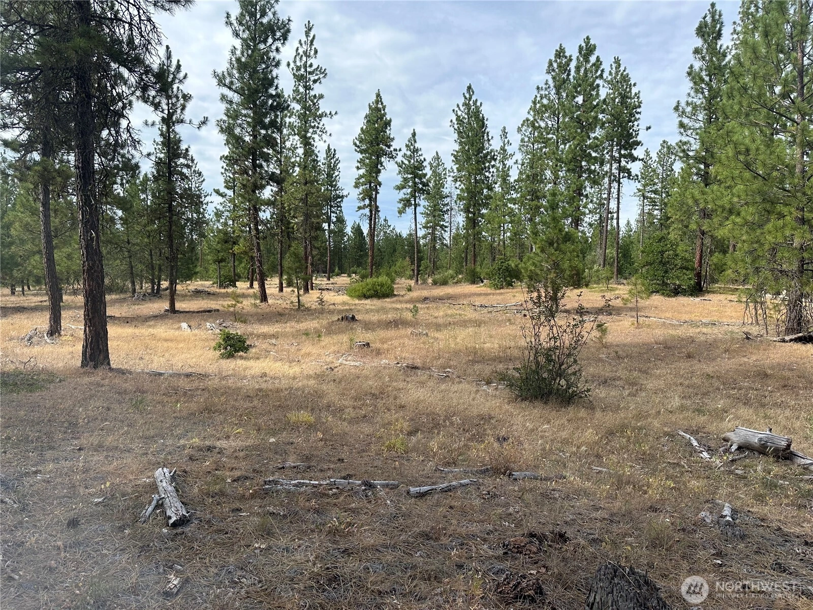 3 Greyback Mt Rd Unit  Goldendale WA 98620