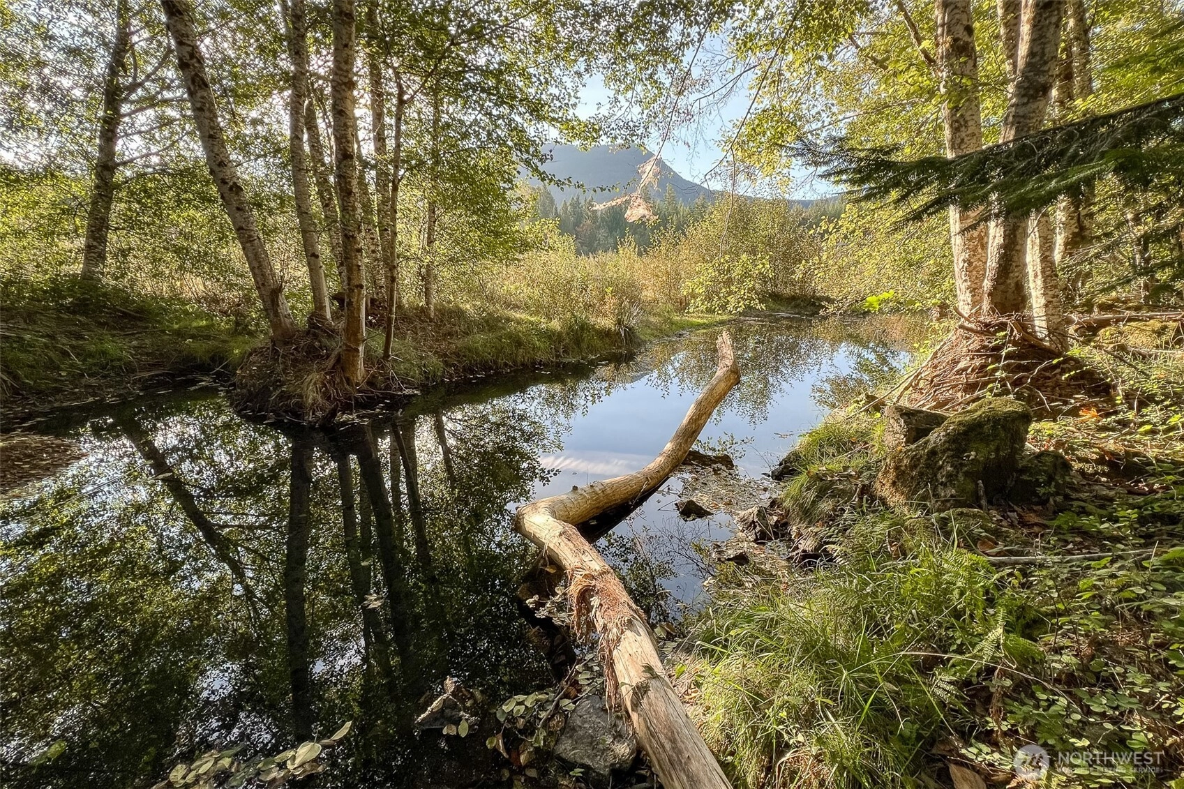 104 Rainbow Pl Unit  White Pass WA 98361