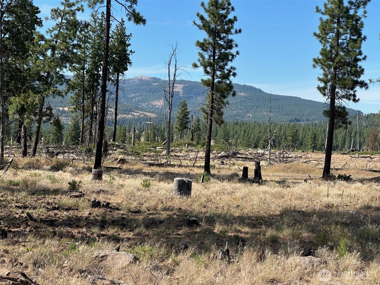 Lee Rd Unit  Goldendale WA 98620
