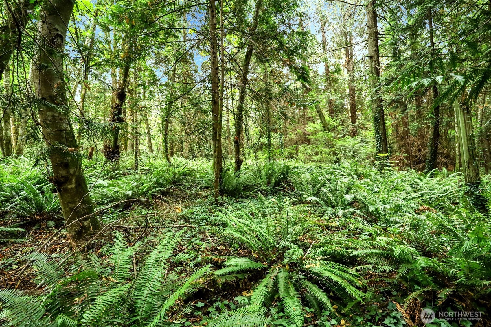NE Midway Ave Indianola WA 98342
