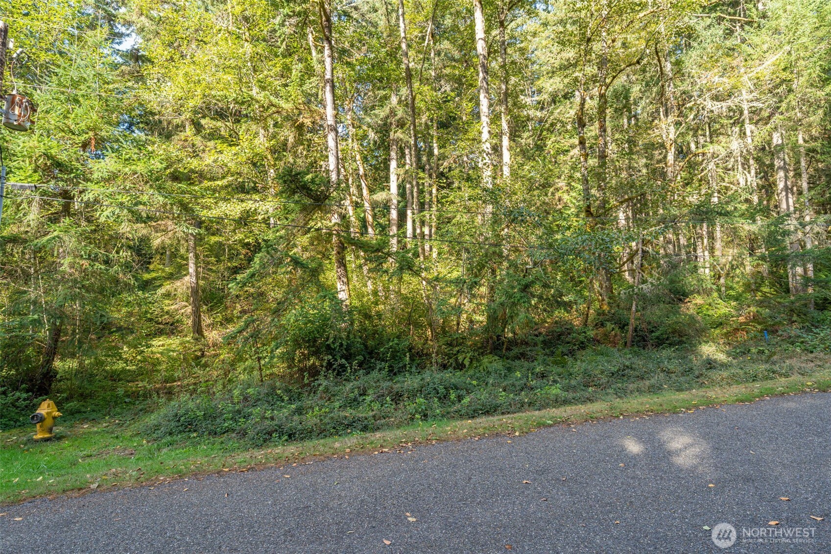 10602 Vantage Dr Anderson Island WA 98303