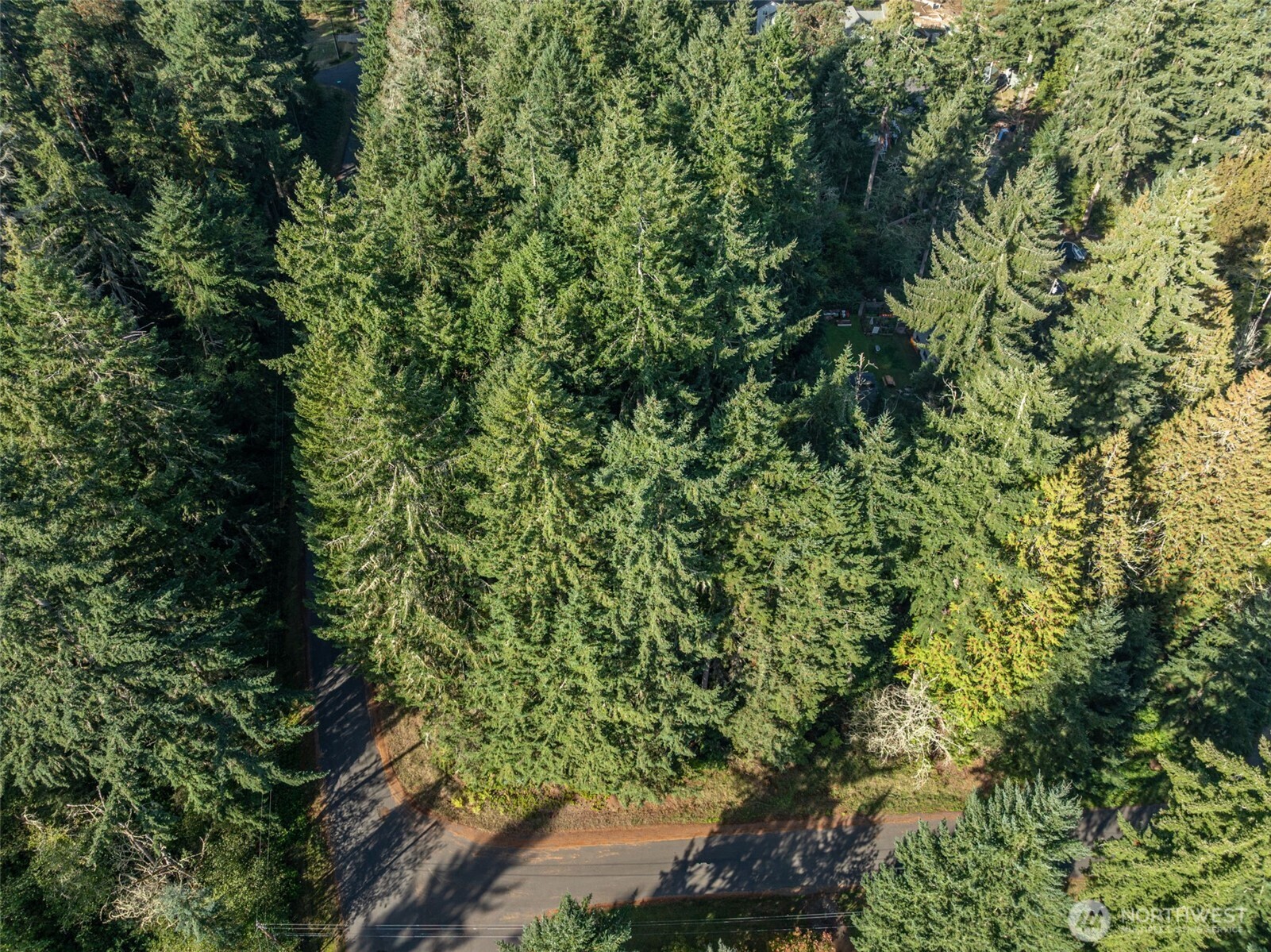 10102 104th Ave Anderson Island WA 98303