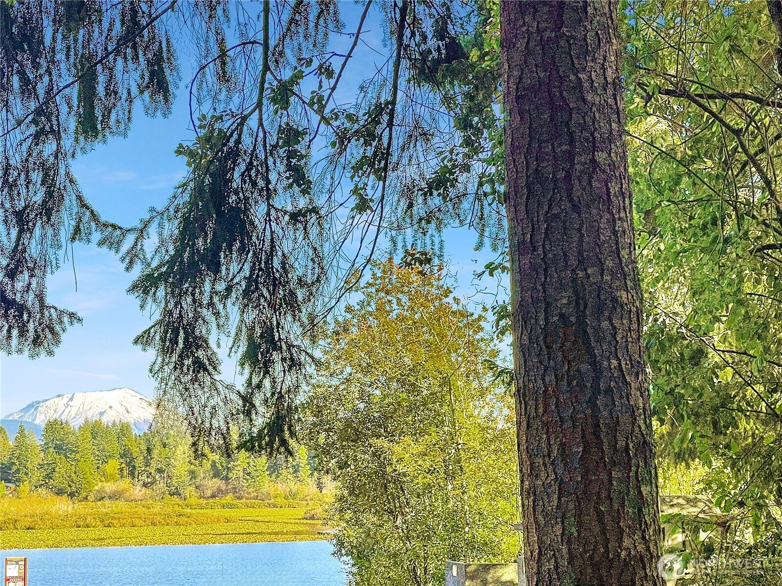 300 Kerr Rd Silverlake WA 98645