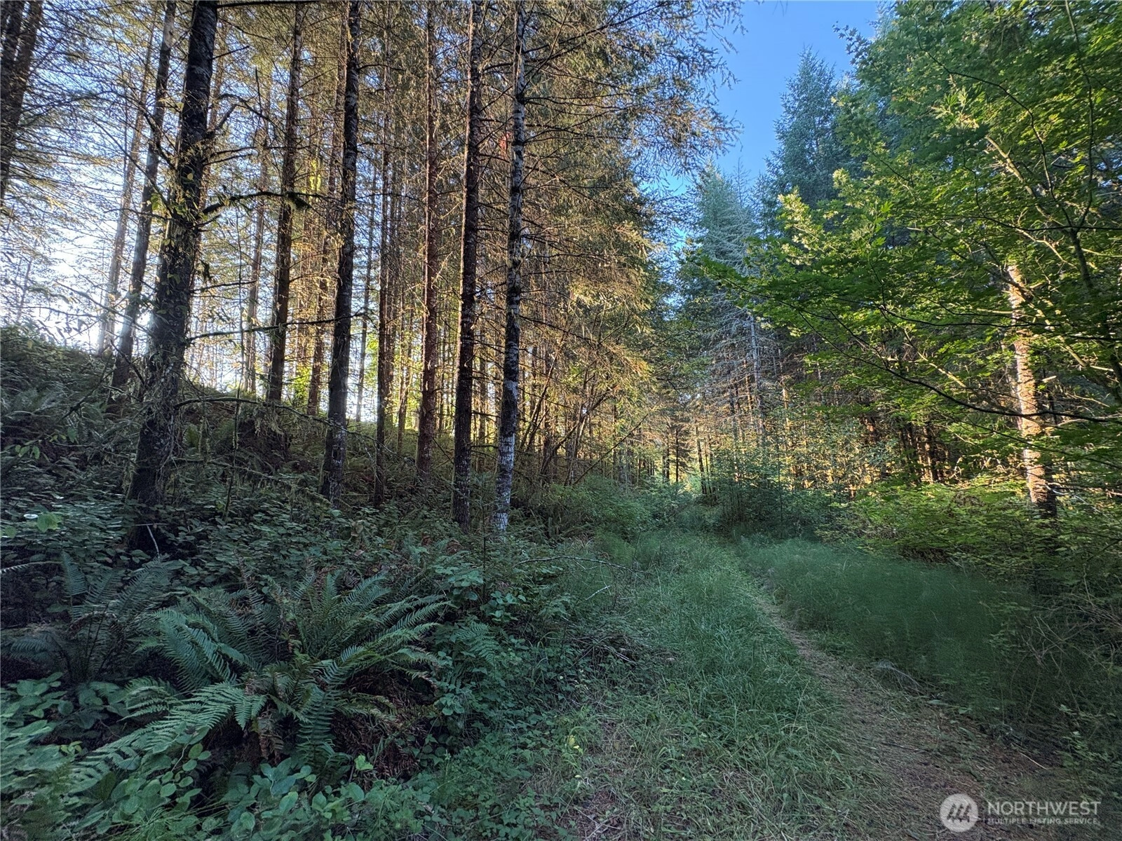 0 NKA Frank Smith Rd Unit  Toutle WA 98649