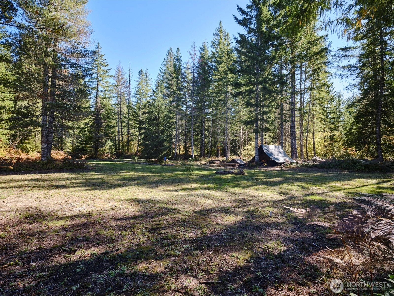 2 A Lahar Ln Unit  Cougar WA 98616