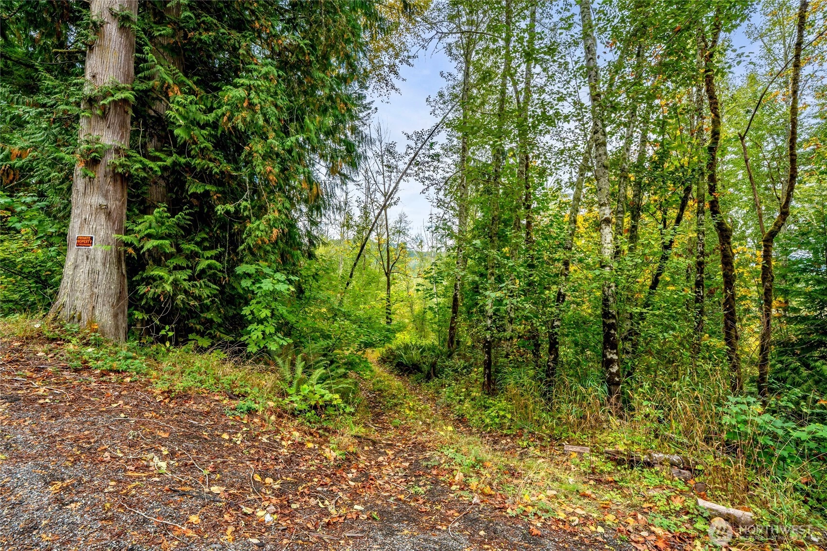 Mineral Hill Rd Mineral WA 98356