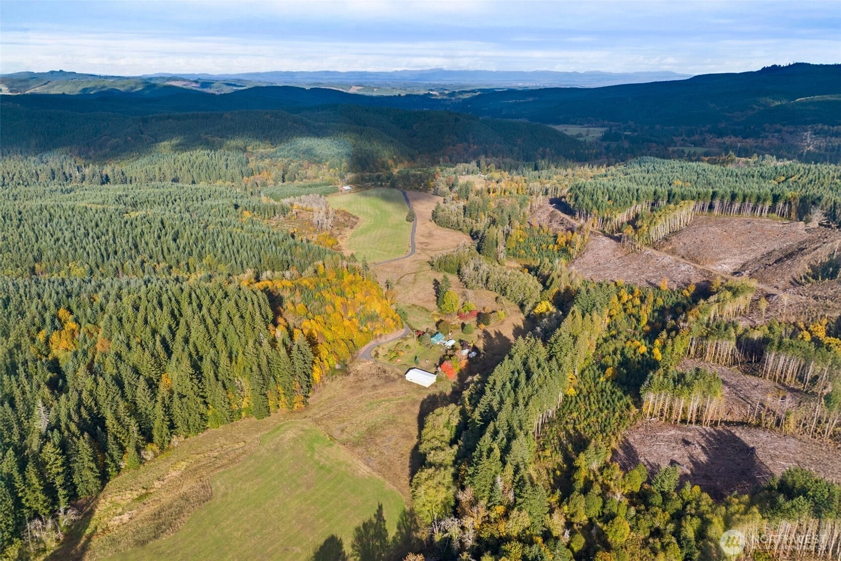 807 Allender Rd Ryderwood WA 98581
