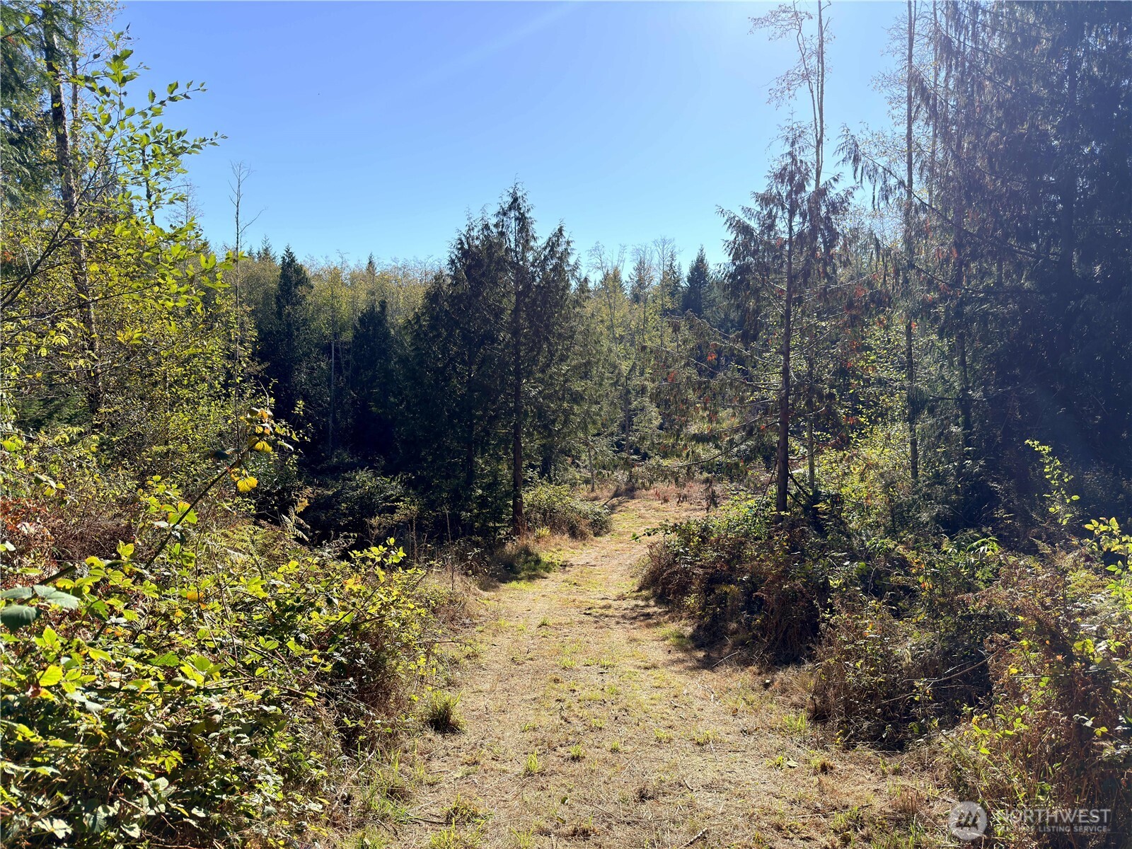 1 XXX Lee Valley Rd Quilcene WA 98376