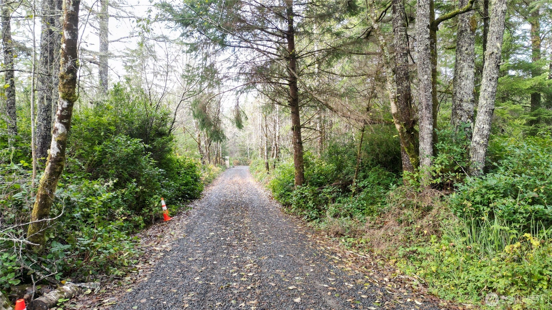 36815 Stackpole Rd Oysterville WA 98641