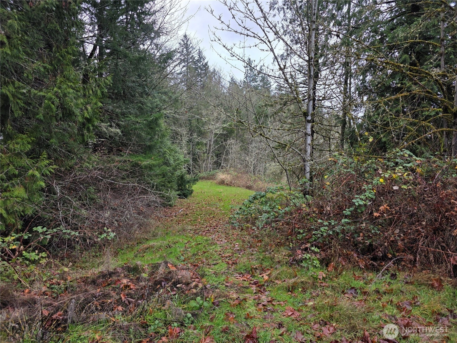 Silver Cove Silverlake WA 98645
