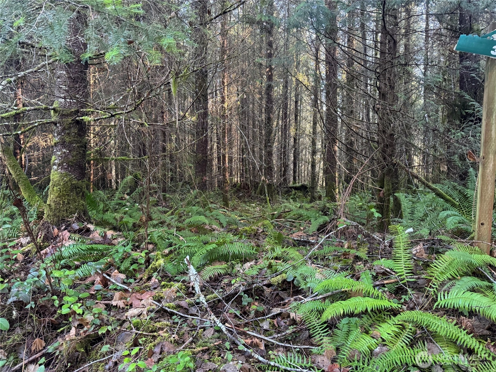 233 Shy Bear Rd Toutle WA 98649