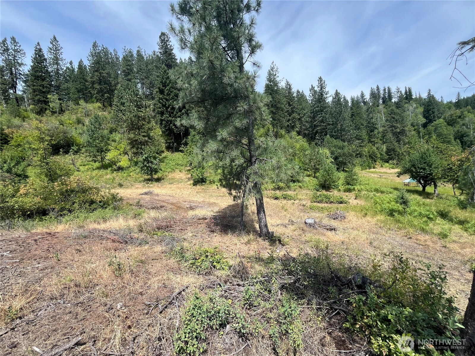 0 1 TBD Mitchell Rd Northport WA 99157