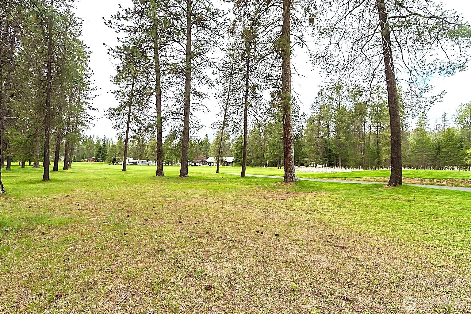 202 Eagle Dr Unit  Chewelah WA 99109