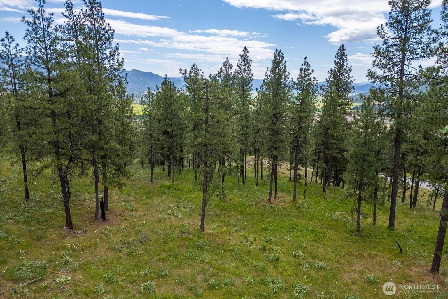 1612 Palmer Loop Unit  Chewelah WA 99109
