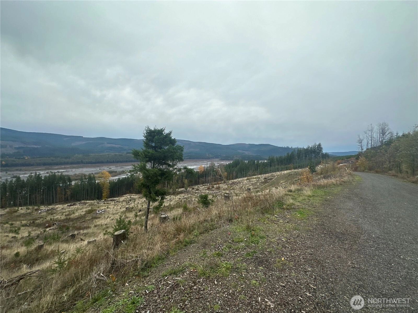 13500 State Rout 504 Toutle WA 98649