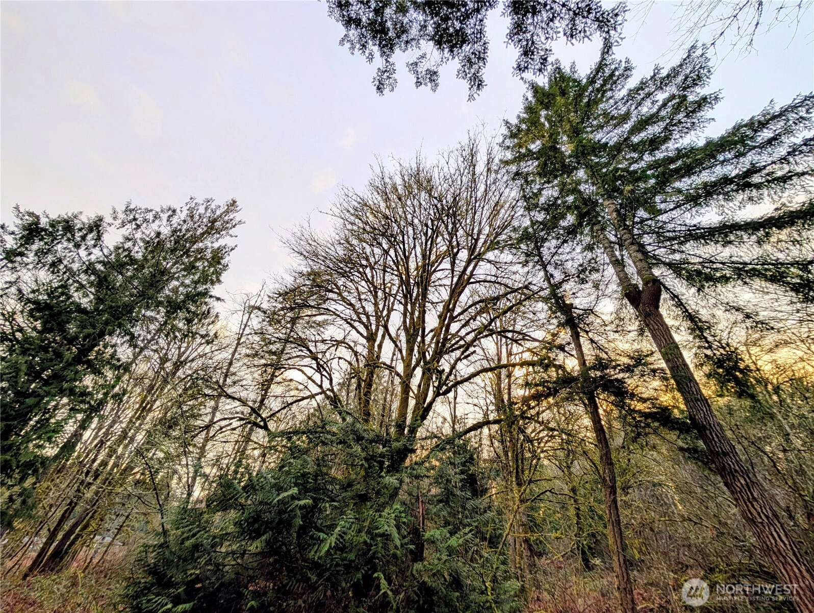 Whiteman Rd SW Lakebay WA 98349