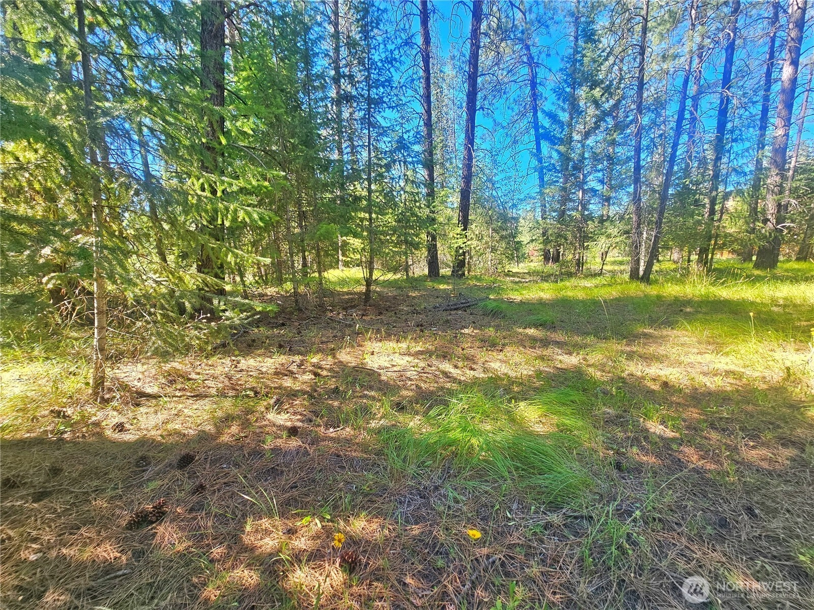 270 Eagle Dr Chewelah WA 99109