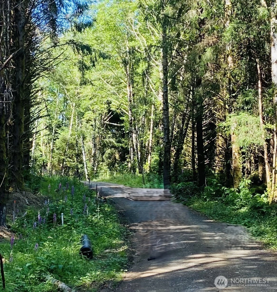 290 lot 4 Luttrell Ln Unit  Chinook WA 98614