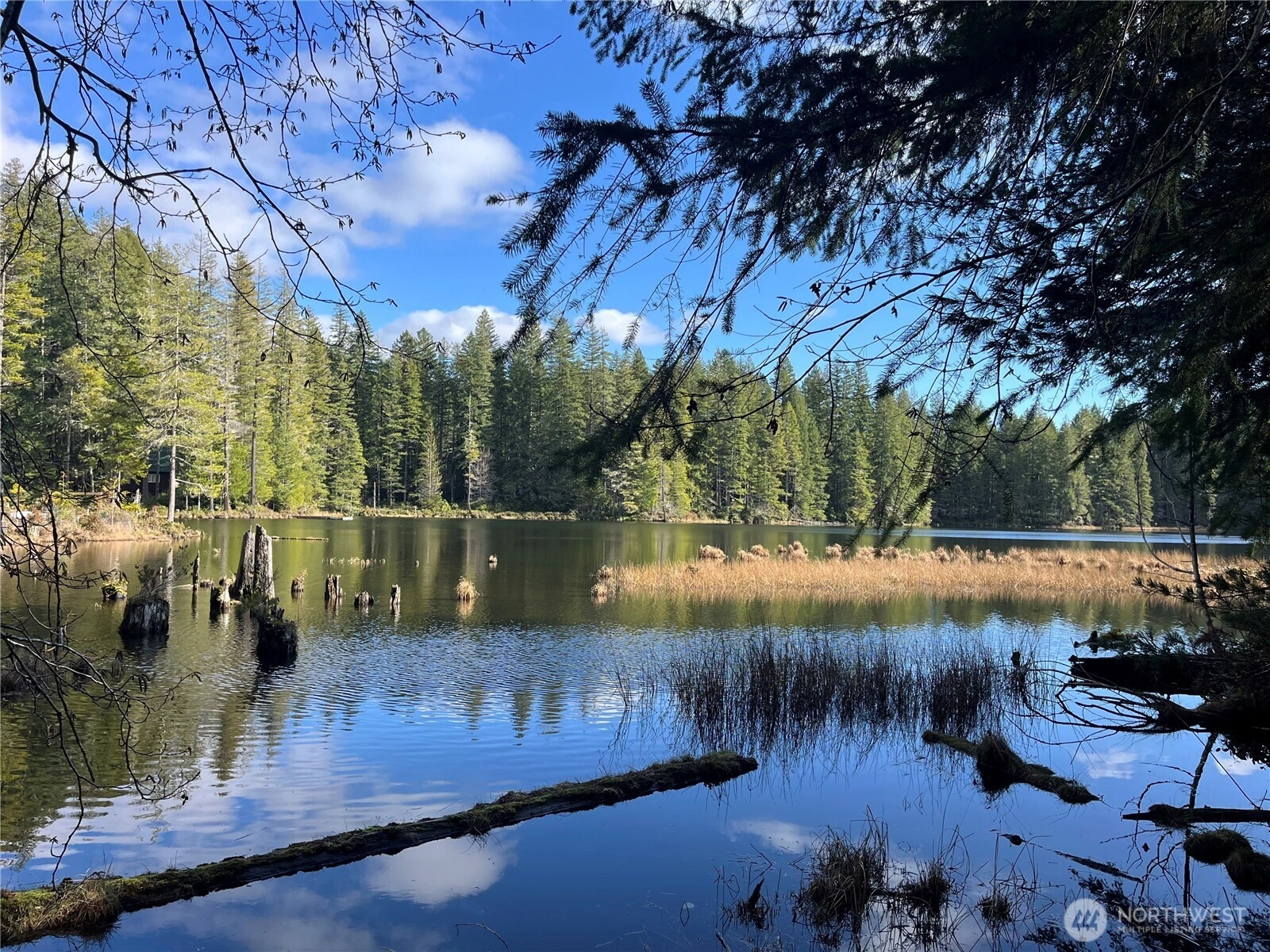 NE Lake Christine Rd Unit  Tahuya WA 98588