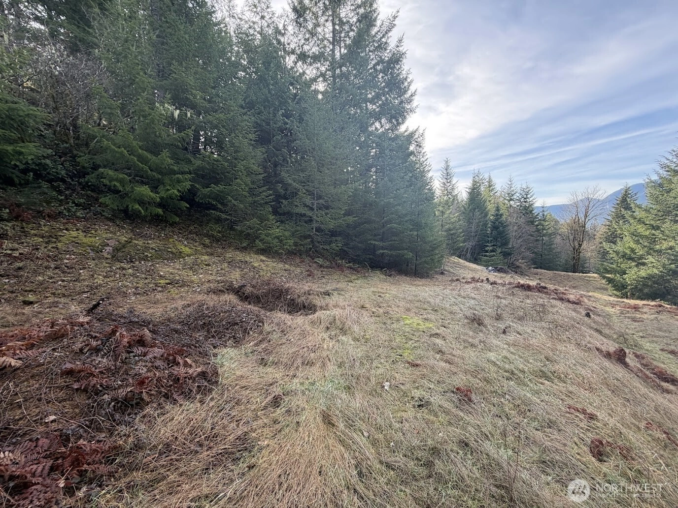 115 Ridge Lane Packwood WA 98361