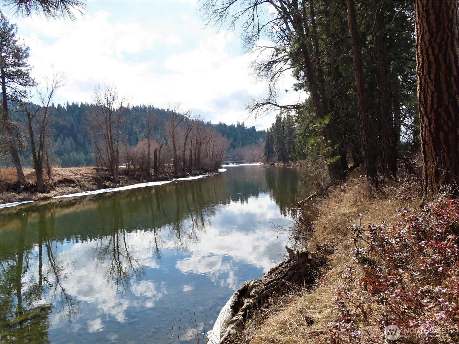 0 Lot 8 Highway 21 N Unit  Danville WA 99121