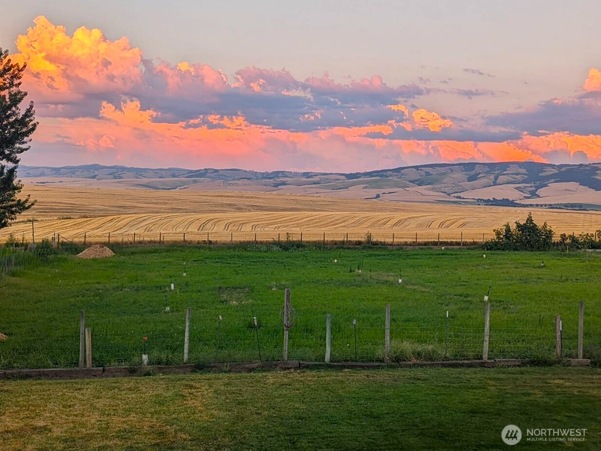 1224 Rooster Rd Walla Walla WA 99362