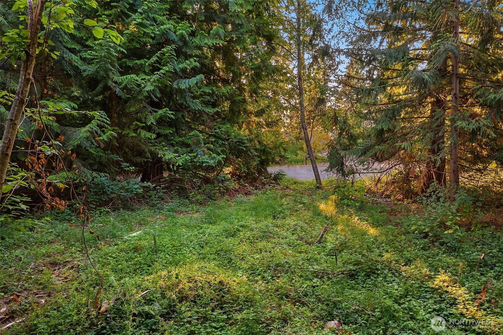 107 133rd St SW Vashon WA 98070
