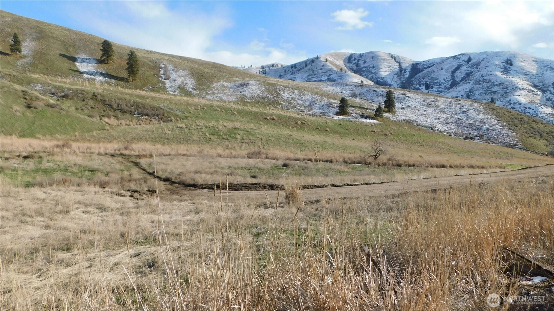 8013 Nahahum Canyon Rd Cashmere WA 98815