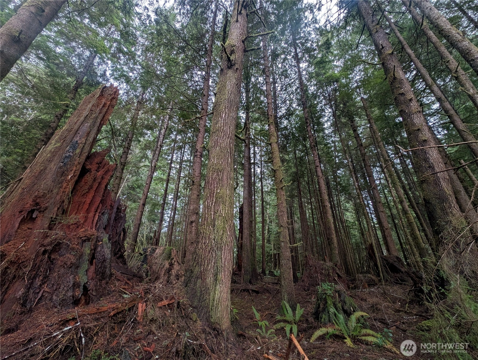 9991 Quillayute Rd Forks WA 98331