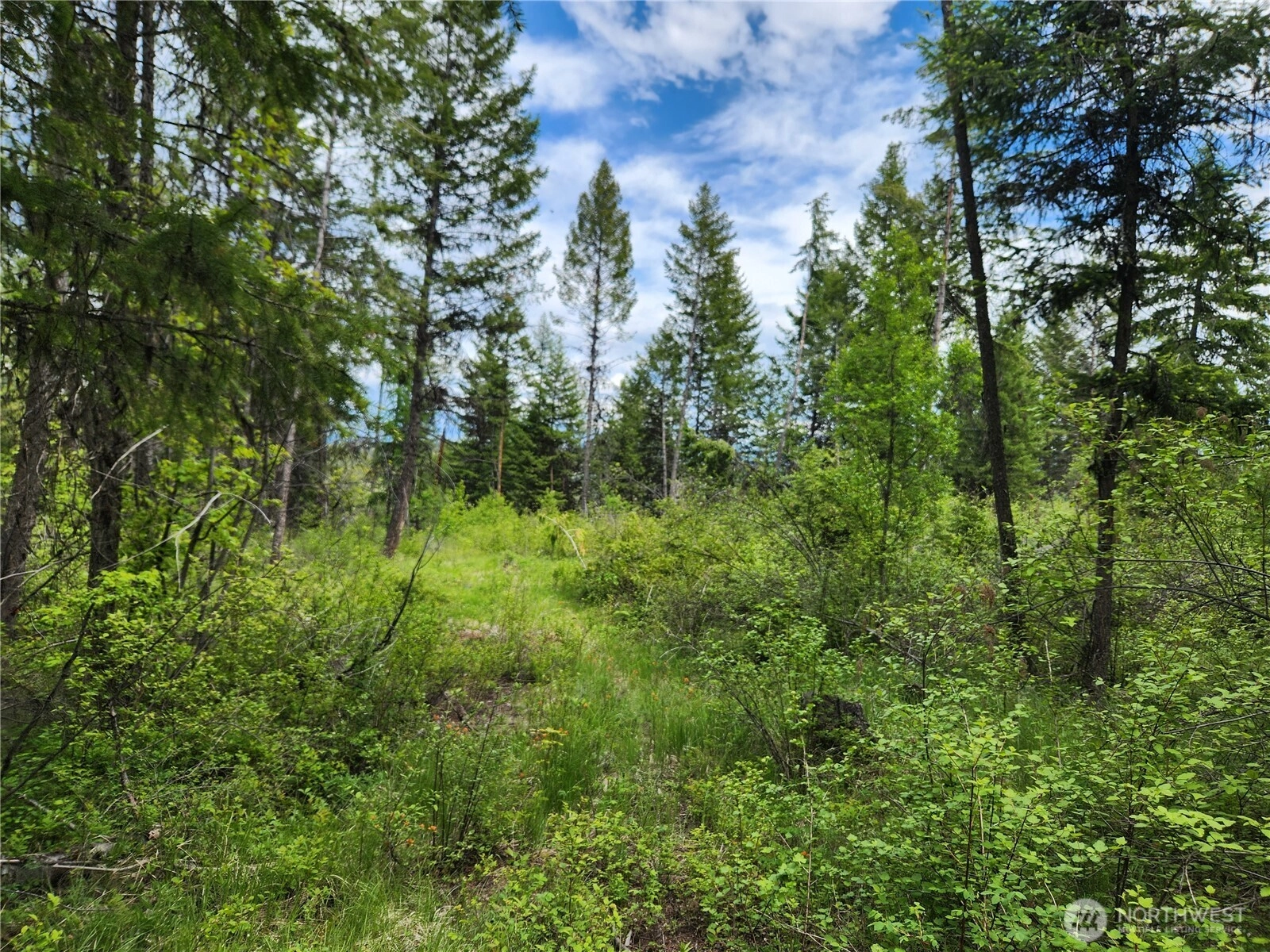 318 Rockabye Ln Curlew WA 99118